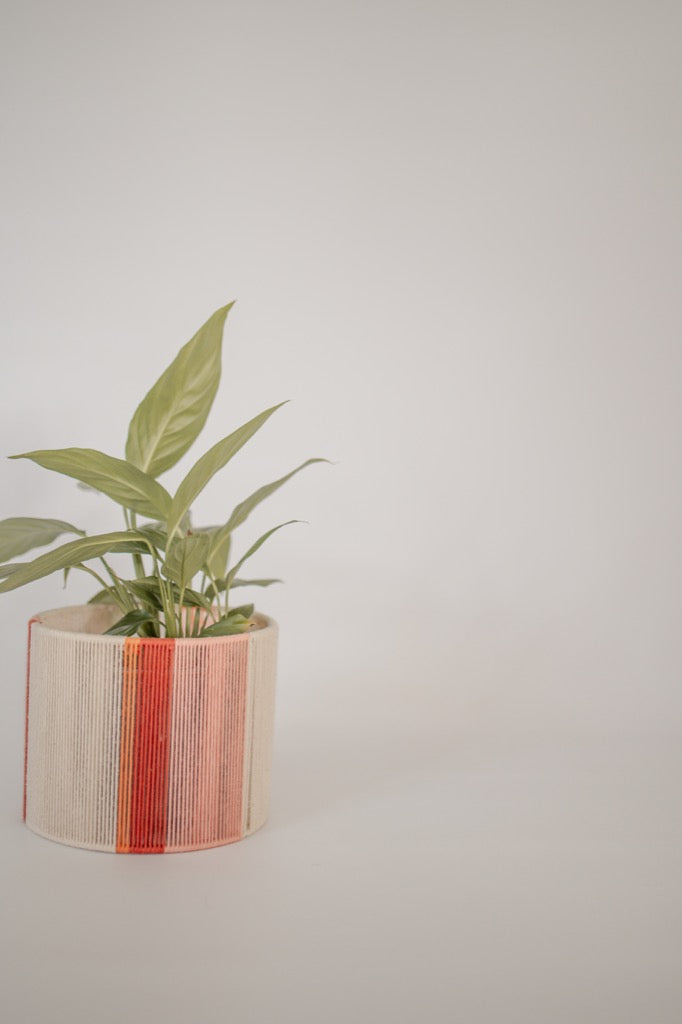 Planter Pot Cover - Pink, Red, Orange