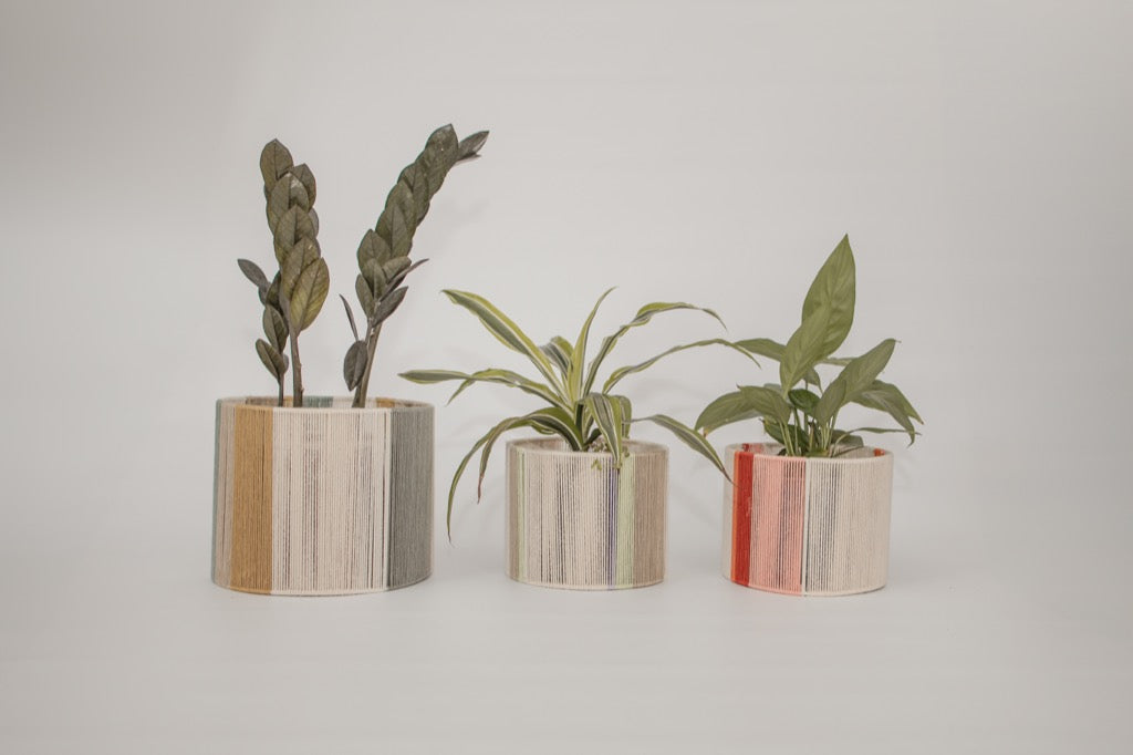 Planter Pot Cover - Purple, Green, Beige