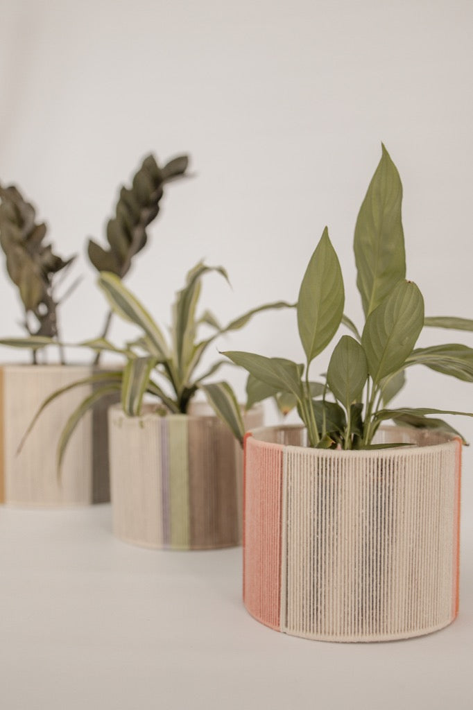 Planter Pot Cover - Gold, Sage, Beige