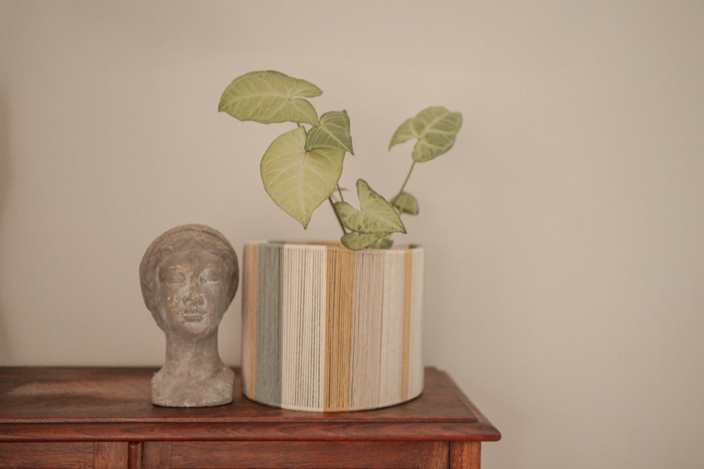 Planter Pot Cover - Gold, Sage, Beige