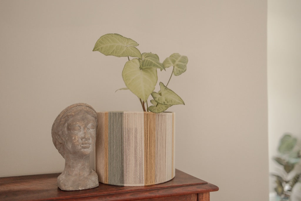 Planter Pot Cover - Gold, Sage, Beige