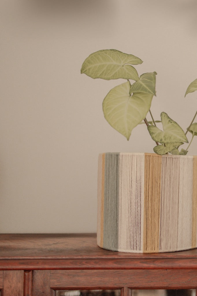 Planter Pot Cover - Gold, Sage, Beige