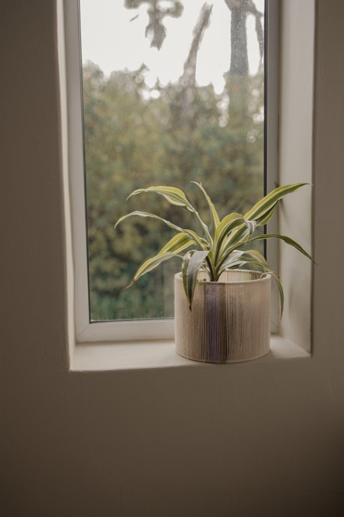 Planter Pot Cover - Purple, Green, Beige