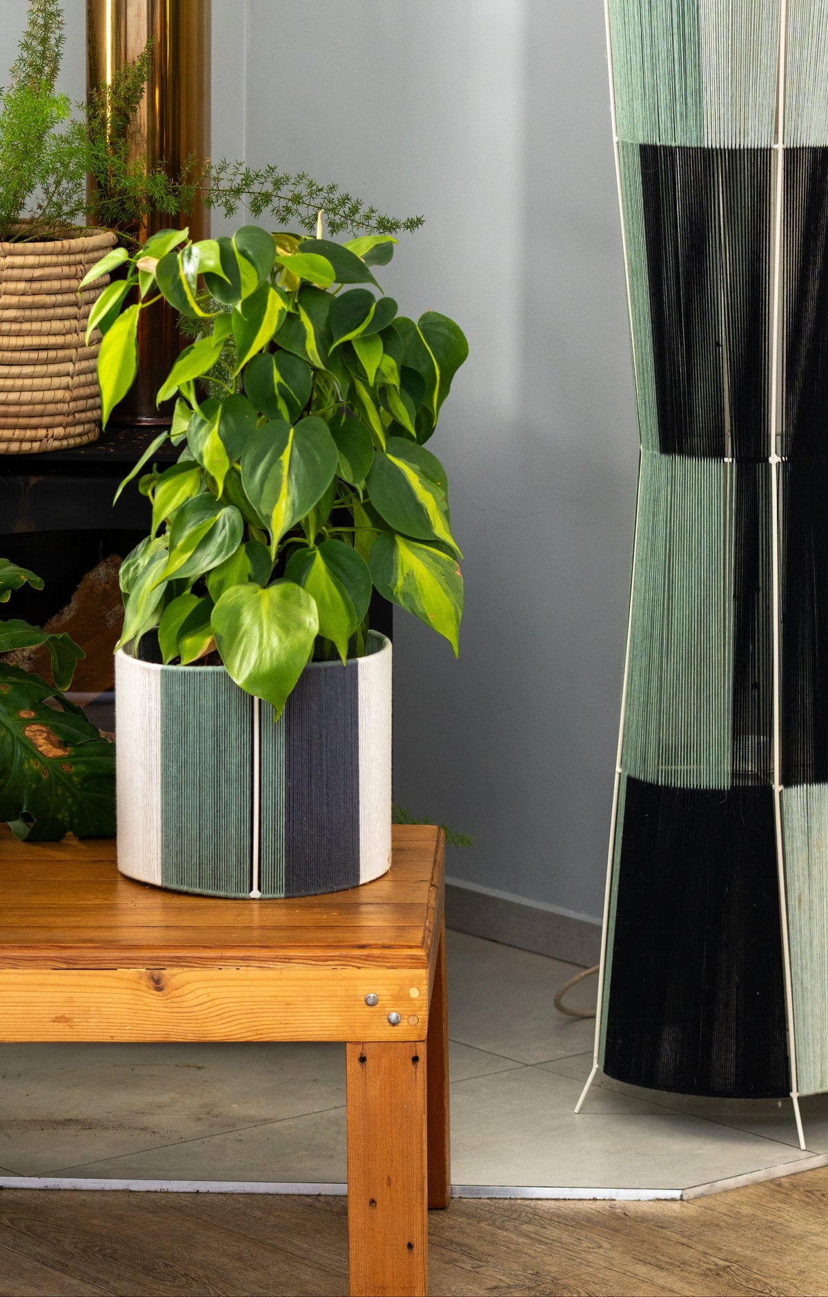PLANTERS & DECOR
