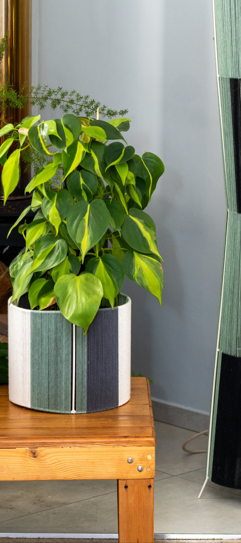 Tall, cylindrical decorative object with geometric pattern in a room with a plant and wooden table.