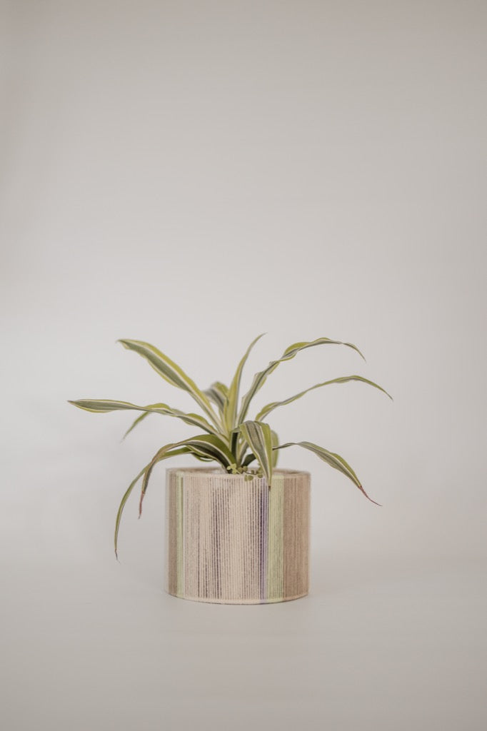 Planter Pot Cover - Purple, Green, Beige